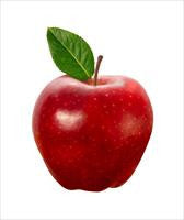 Cool Wood Technologies Apple, Red Delicious 1