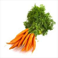 Cool Wood Technologies Carrots 1