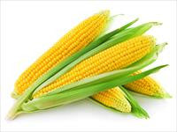 Cool Wood Technologies Corn 1
