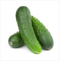 Cool Wood Technologies Cucumber 1