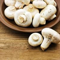 Cool Wood Technologies Mushroom 1