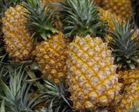 Cool Wood Technologies Pineapple 1