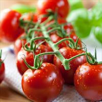Cool Wood Technologies Tomato 1
