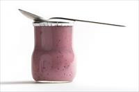 Cool Wood Technologies Yogurt Lowfat Blueberry 1