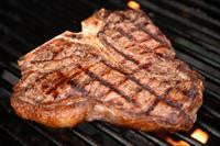 Grassblue Ltd T-Bone 1