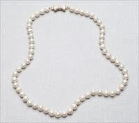 Progressive Home Furnishings Simple Pearl Necklace Linda 1